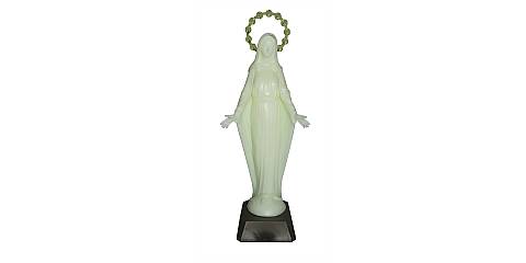 Ferrari & Arrighetti Statua Madonna Miracolosa, Statuetta della Santa Vergine Miracolosa che si Illumina al Buio, Plastica Fosforescente, 20 Centimetri Circa