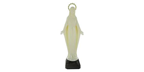 Statua Della Madonna Miracolosa In Plastica Fosforescente 30 Cm Circa 1400mi Ferrari Arrighetti