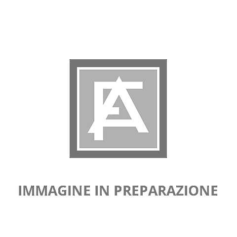 Immaginetta Mad.Caravaggio con preghiera sul retro cm 5,8 x 10,3