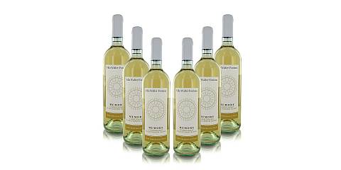 Vino Bianco ''Memore'', Chardonnay & Sauvignon Blanc Della Valtellina, Annata 2019, 75 Cl, Cartone Con 6 Bottiglie Da 75 Cl L'Una